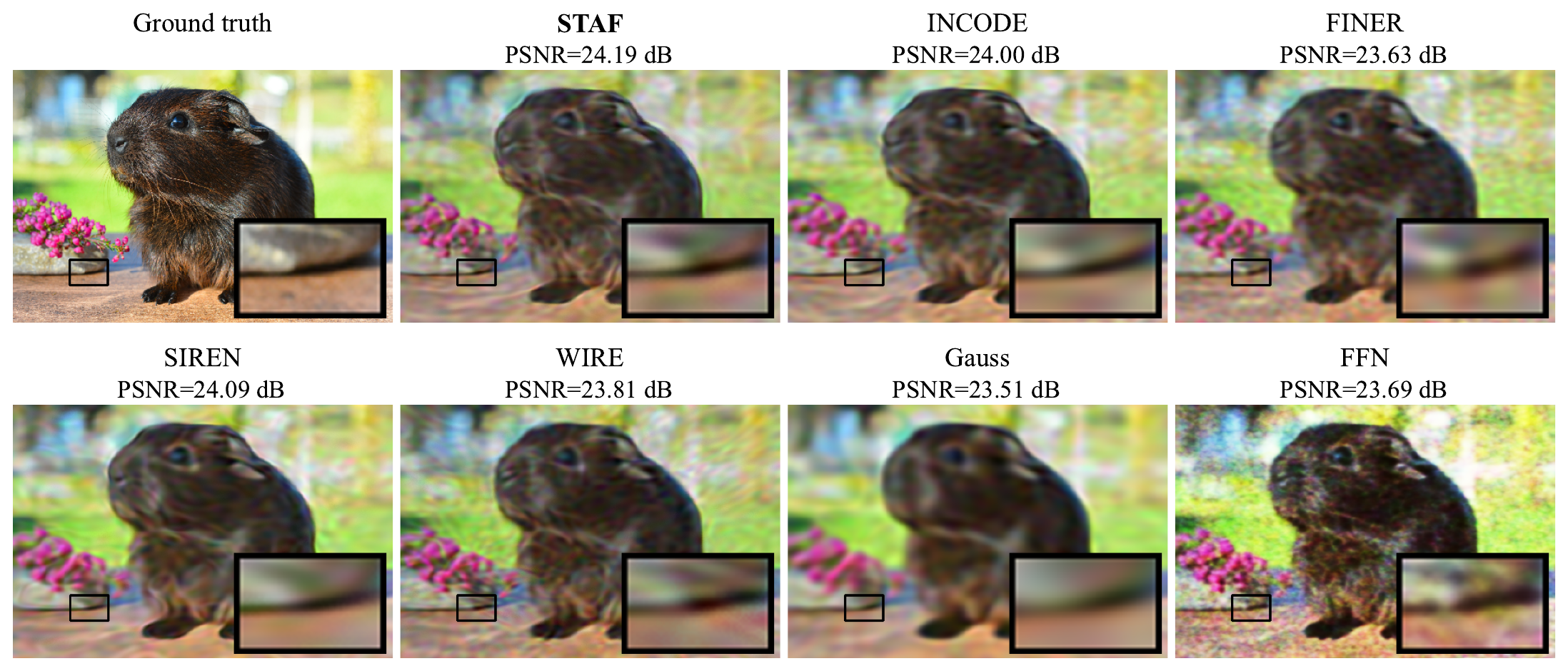 Image denoising comparison figure for STAF and baseline methods.